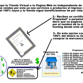 Pagina Web o Tienda Virtual no Vinculada a Ninguna Tienda Master o Central